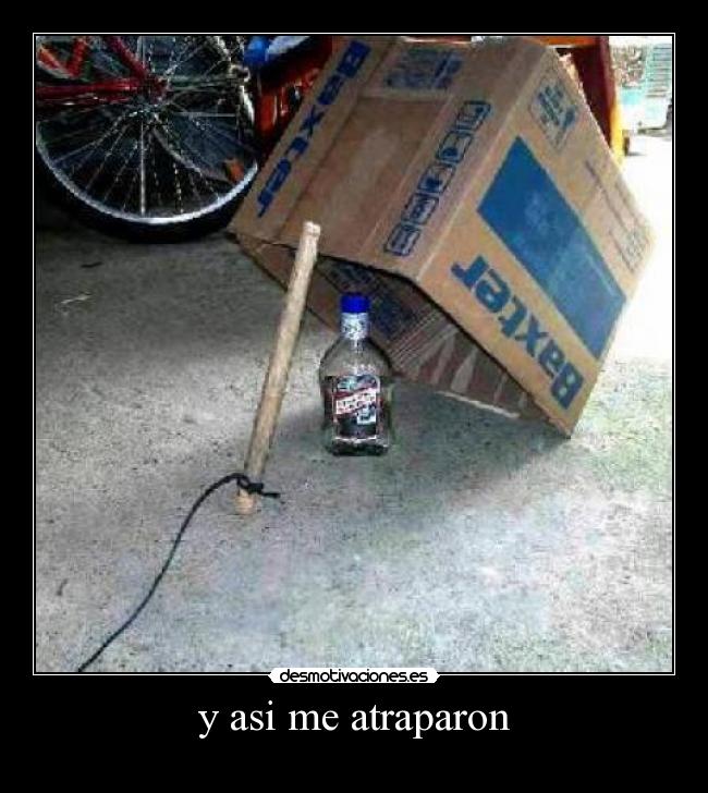 y asi me atraparon -
