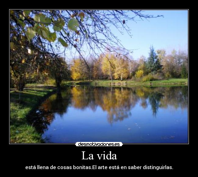 La vida - está llena de cosas bonitas.El arte está en saber distinguirlas.