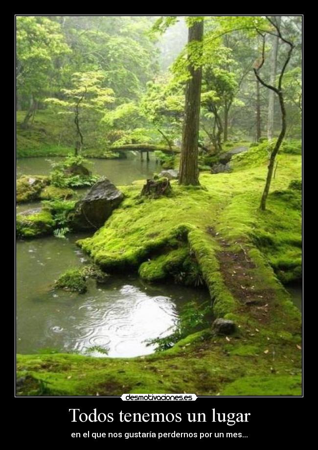carteles encantan los bosques viejos por alguna razon vivan los lobos come personas desmotivaciones