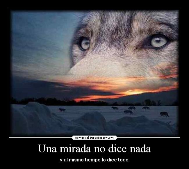 carteles rachel desmotivaciones