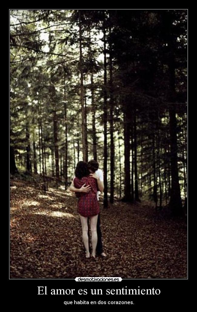 El amor es un sentimiento -
