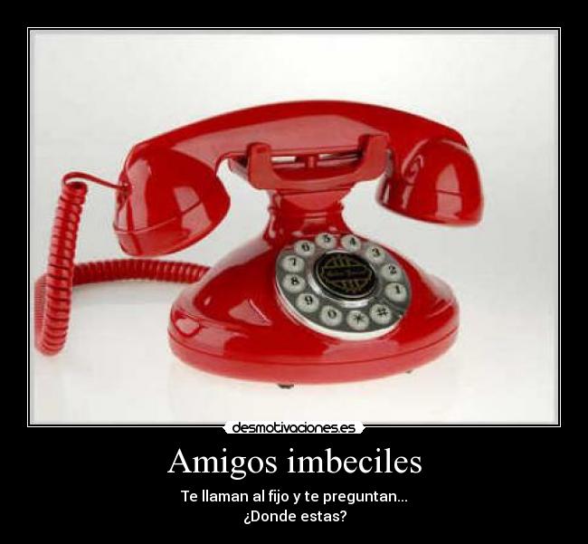 Amigos imbeciles -
