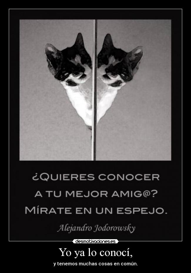 carteles desmotivaciones