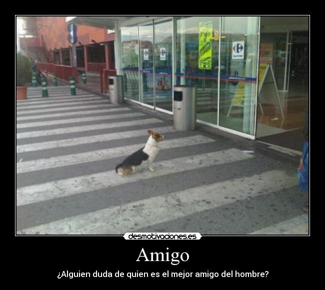 carteles amistad desmotivaciones