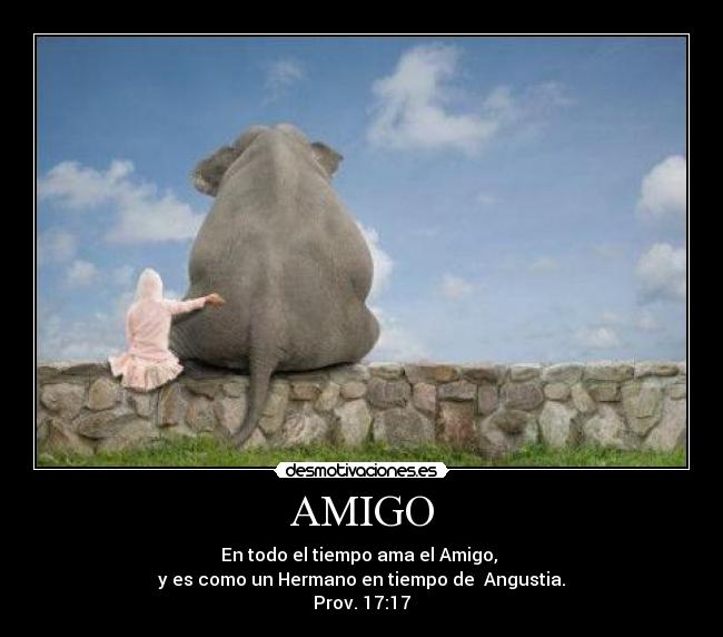 AMIGO -