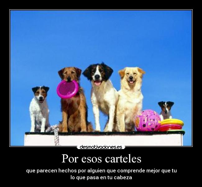 Por esos carteles - que parecen hechos por alguien que comprende mejor que tu
lo que pasa en tu cabeza