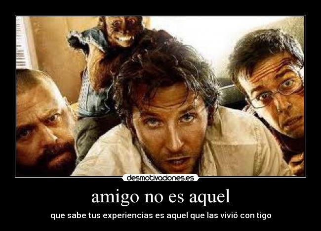 amigo no es aquel - que sabe tus experiencias es aquel que las vivió con tigo