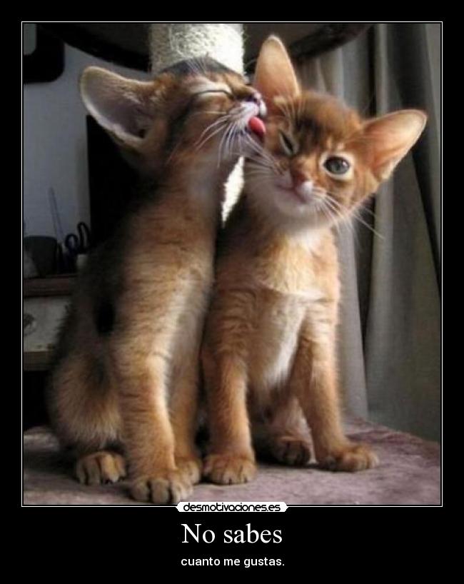 No sabes - cuanto me gustas.