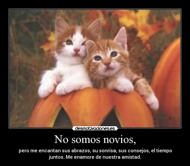No somos novios, - 