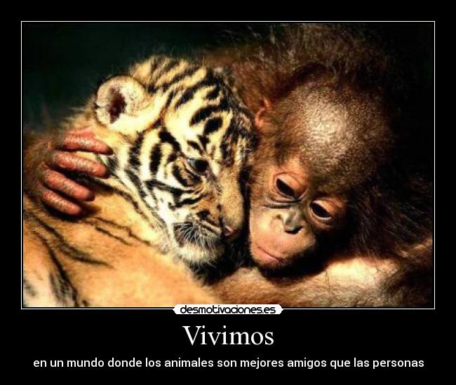 Vivimos - en un mundo donde los animales son mejores amigos que las personas♥