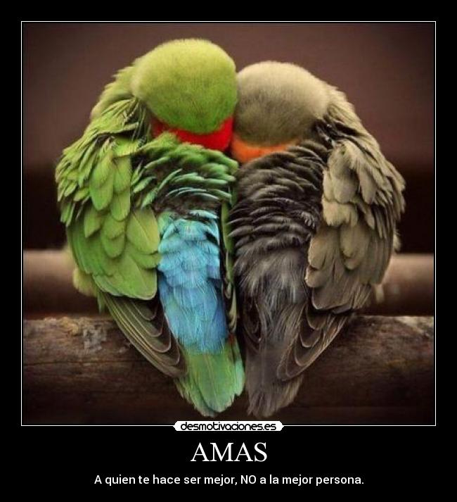 AMAS - A quien te hace ser mejor, NO a la mejor persona.