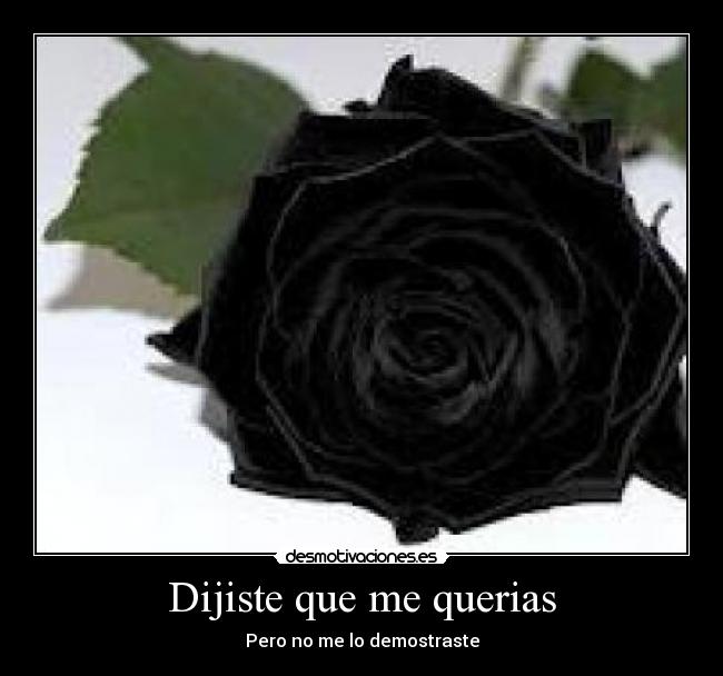 Dijiste que me querias -