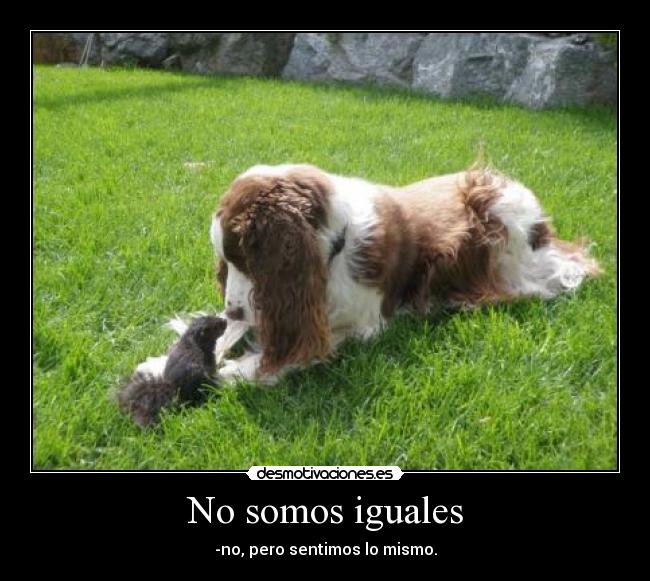 carteles ninguna desmotivaciones