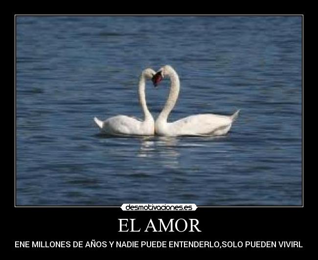 EL AMOR - TIENE MILLONES DE AÑOS Y NADIE PUEDE ENTENDERLO,SOLO PUEDEN VIVIRLO.