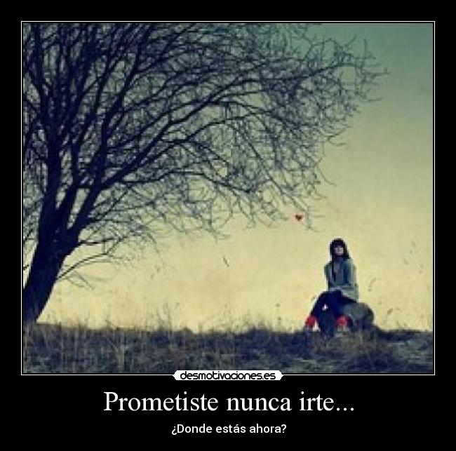 Prometiste nunca irte... - 