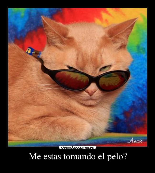 Me estas tomando el pelo? -