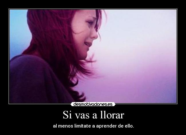Si vas a llorar - al menos limítate a aprender de ello.
