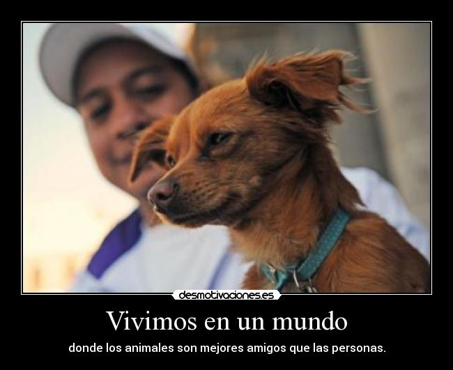Vivimos en un mundo - donde los animales son mejores amigos que las personas.