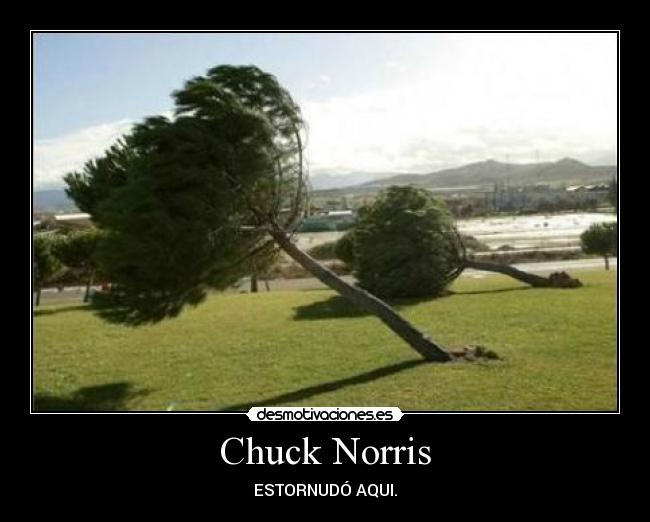 Chuck Norris -