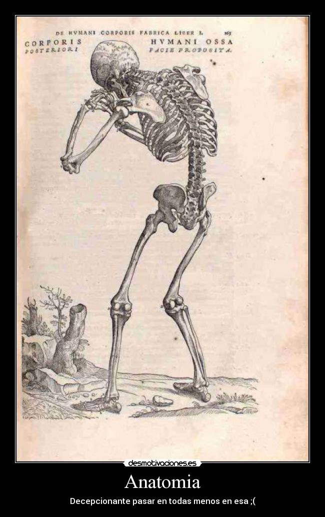 carteles anatomia desmotivaciones