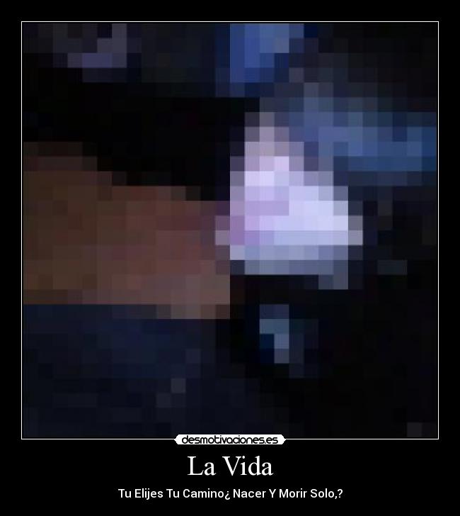 La Vida - Tu Elijes Tu Camino¿ Nacer Y Morir Solo,?