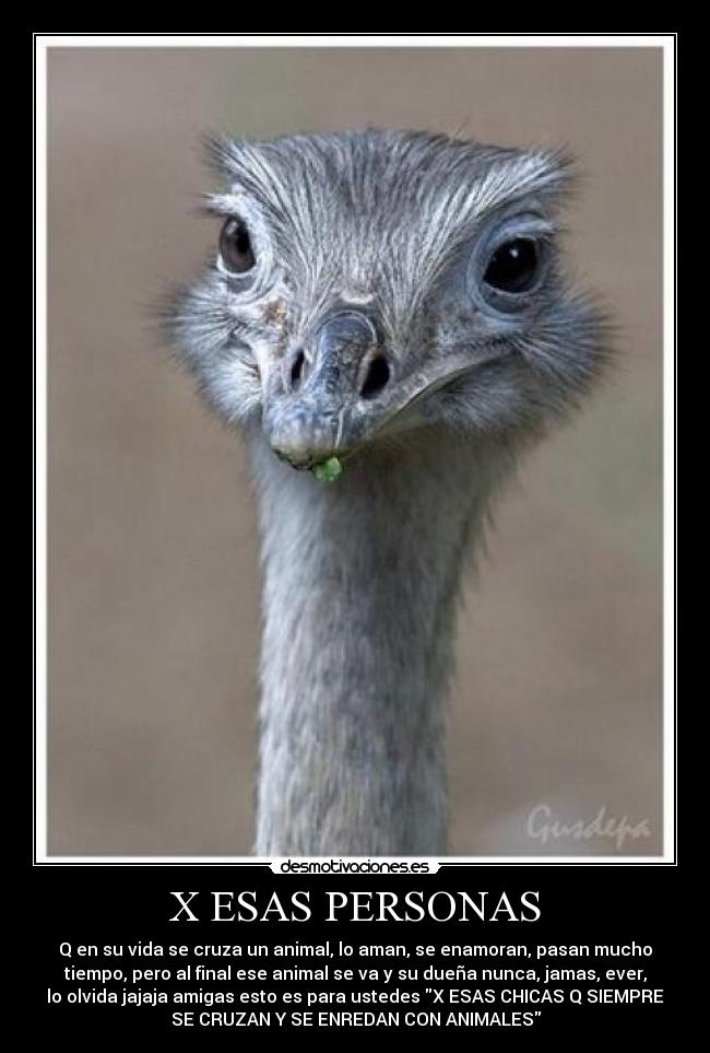 X ESAS PERSONAS - Q en su vida se cruza un animal, lo aman, se enamoran, pasan mucho
tiempo, pero al final ese animal se va y su dueña nunca, jamas, ever,
lo olvida jajaja amigas esto es para ustedes X ESAS CHICAS Q SIEMPRE
SE CRUZAN Y SE ENREDAN CON ANIMALES