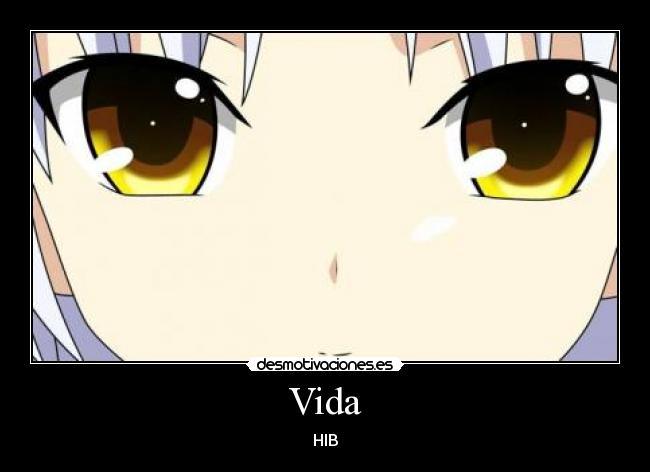 Vida - HIB