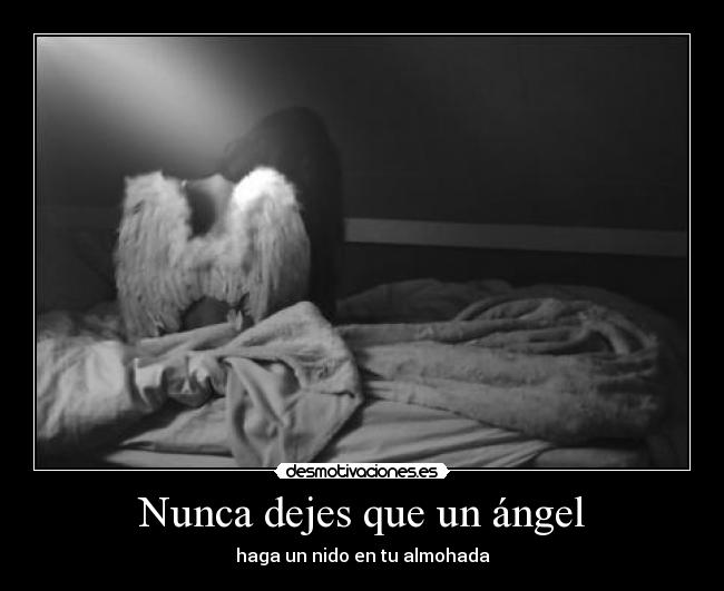 Nunca dejes que un ángel - 