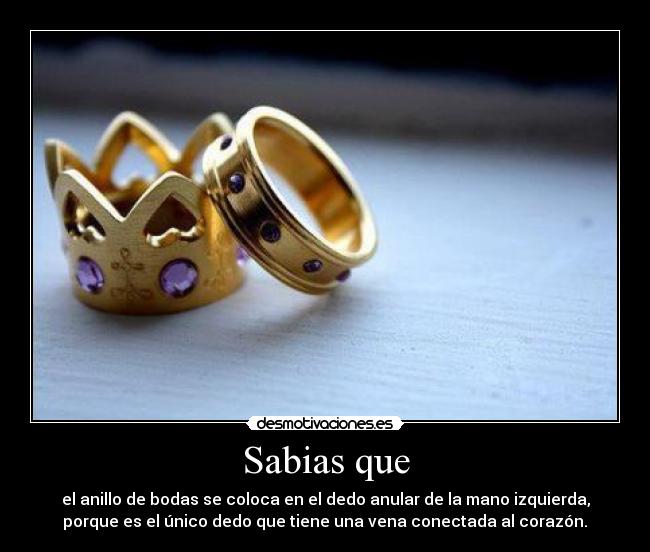 Sabias que - el anillo de bodas se coloca en el dedo anular de la mano izquierda,
porque es el único dedo que tiene una vena conectada al corazón.♥