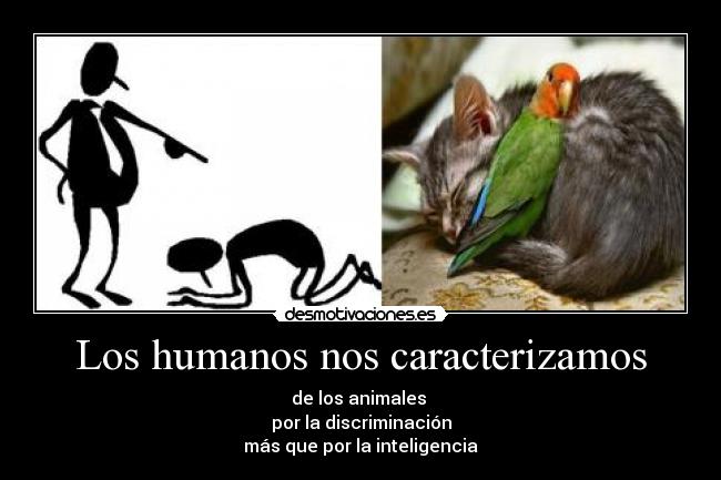 Los humanos nos caracterizamos - de los animales 
por la discriminación
más que por la inteligencia