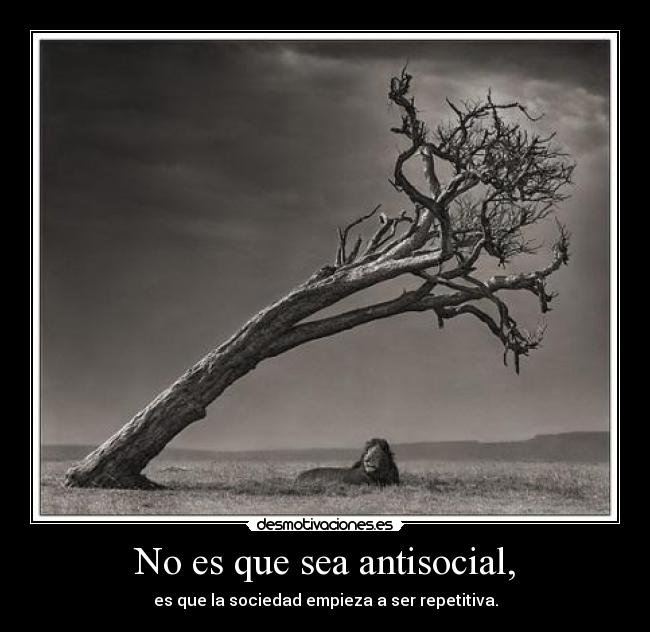 carteles sociedad antisocial repetitiva soledad infancia siempre leon solitario vida always desmotivaciones