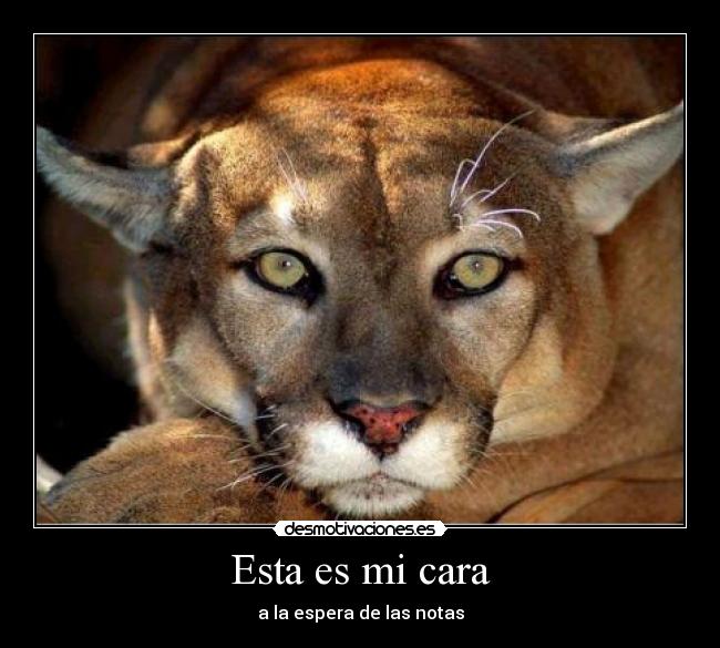 Esta es mi cara - a la espera de las notas