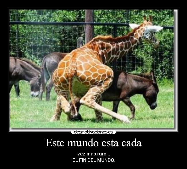Este mundo esta cada - vez mas raro...
EL FIN DEL MUNDO.
