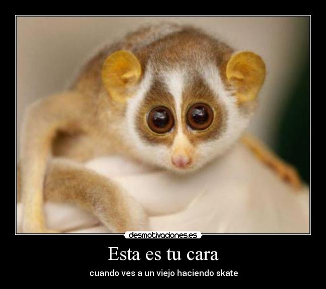 Esta es tu cara - cuando ves a un viejo haciendo skate