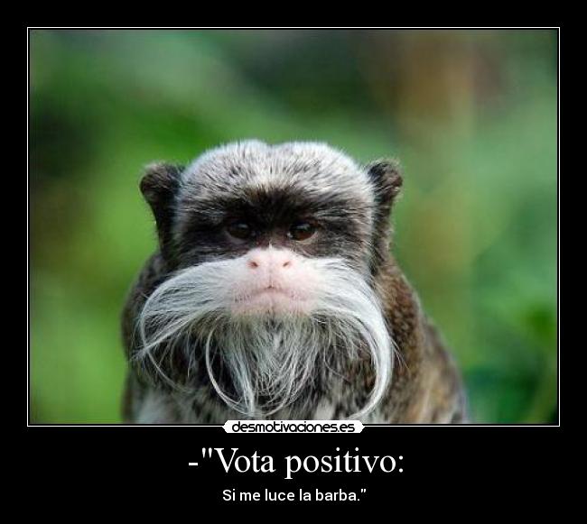 -Vota positivo: -