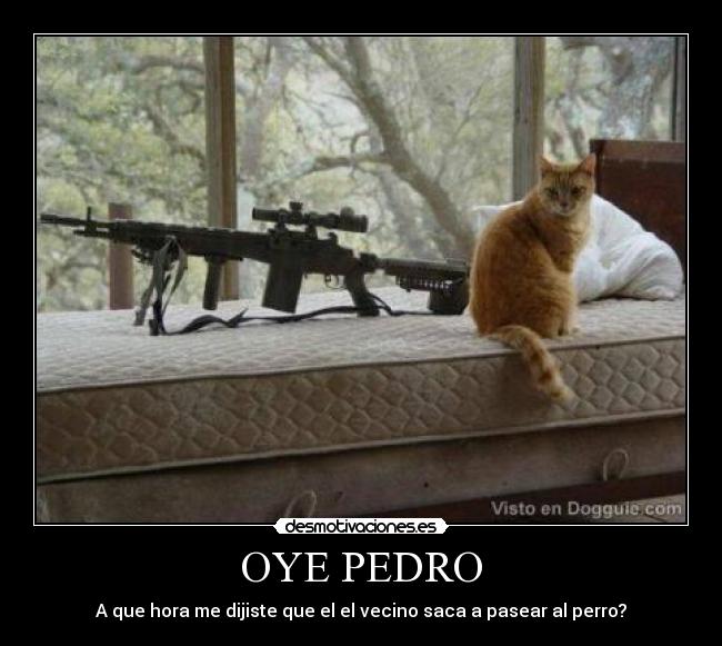 OYE PEDRO - A que hora me dijiste que el el vecino saca a pasear al perro?