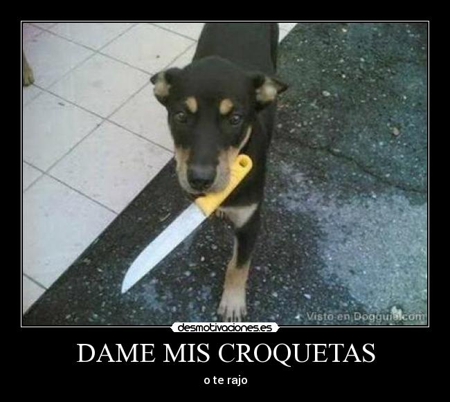 DAME MIS CROQUETAS - o te rajo