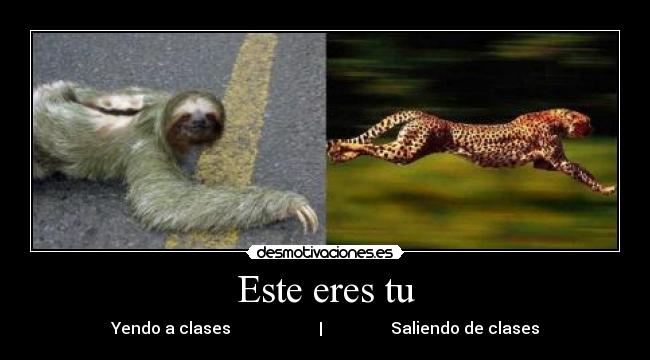 Este eres tu - Yendo a clases | Saliendo de clases