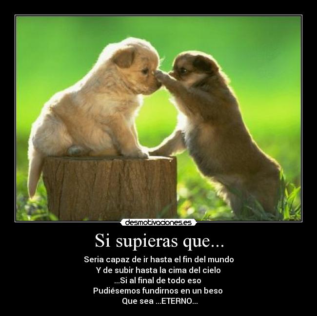 Si supieras que... -