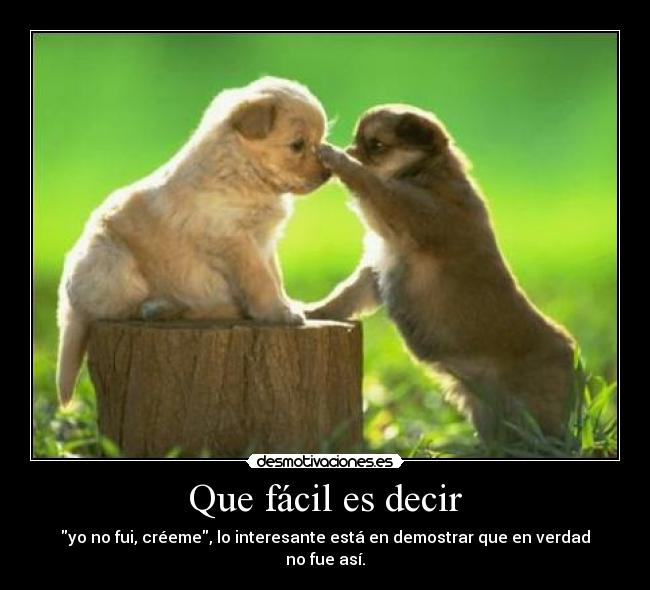 carteles animales desmotivaciones