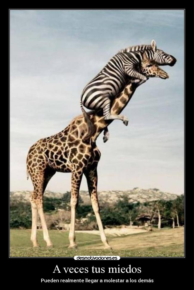 A veces tus miedos - Pueden realmente llegar a molestar a los demás