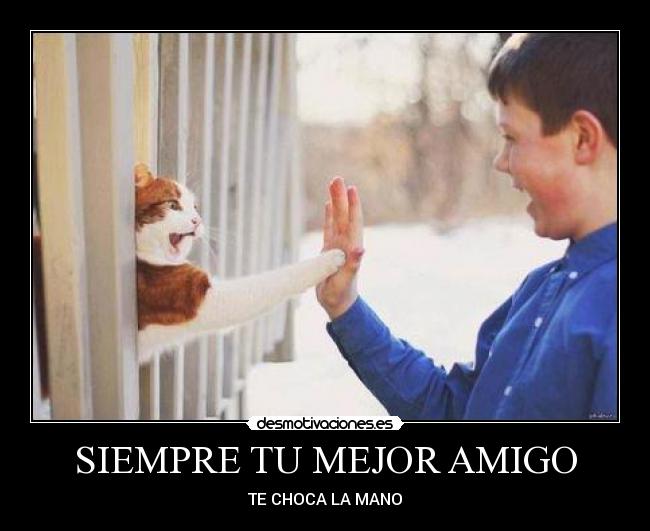 SIEMPRE TU MEJOR AMIGO - 