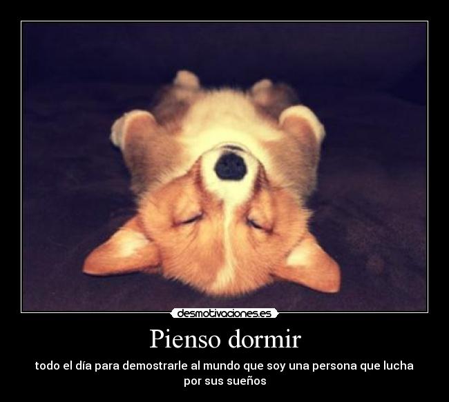 Pienso dormir - 