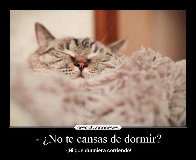 - ¿No te cansas de dormir? - 