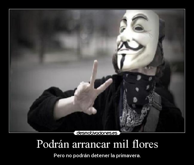 carteles podran arrancar mil flores detener promavera desmotivaciones
