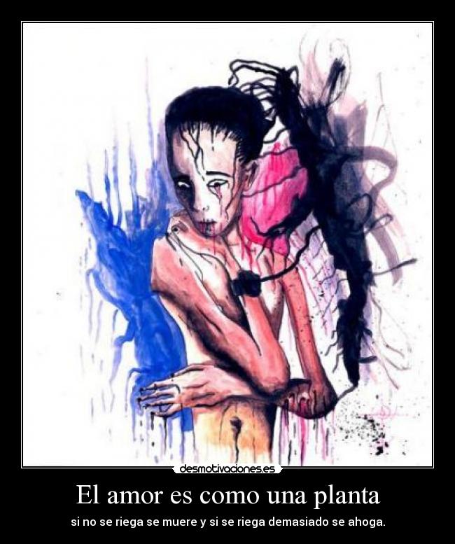 El amor es como una planta -