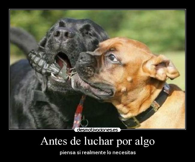 Antes de luchar por algo -