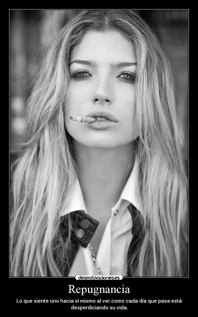 carteles repugnancia desmotivaciones