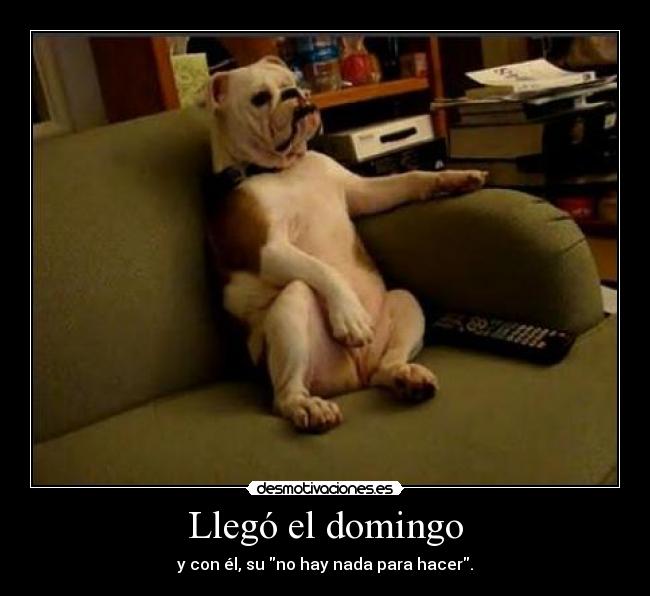 Llegó el domingo -