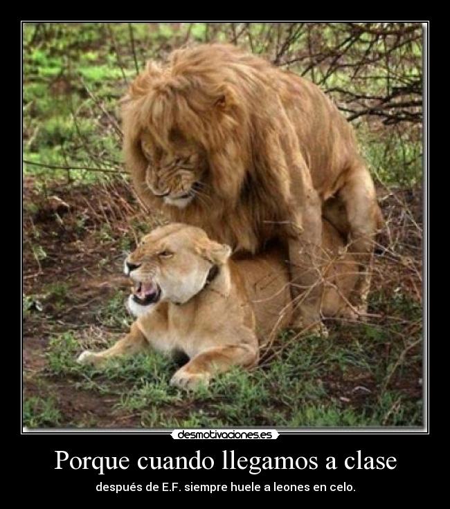 Porque cuando llegamos a clase - 